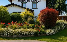 Hotel El Ciervo